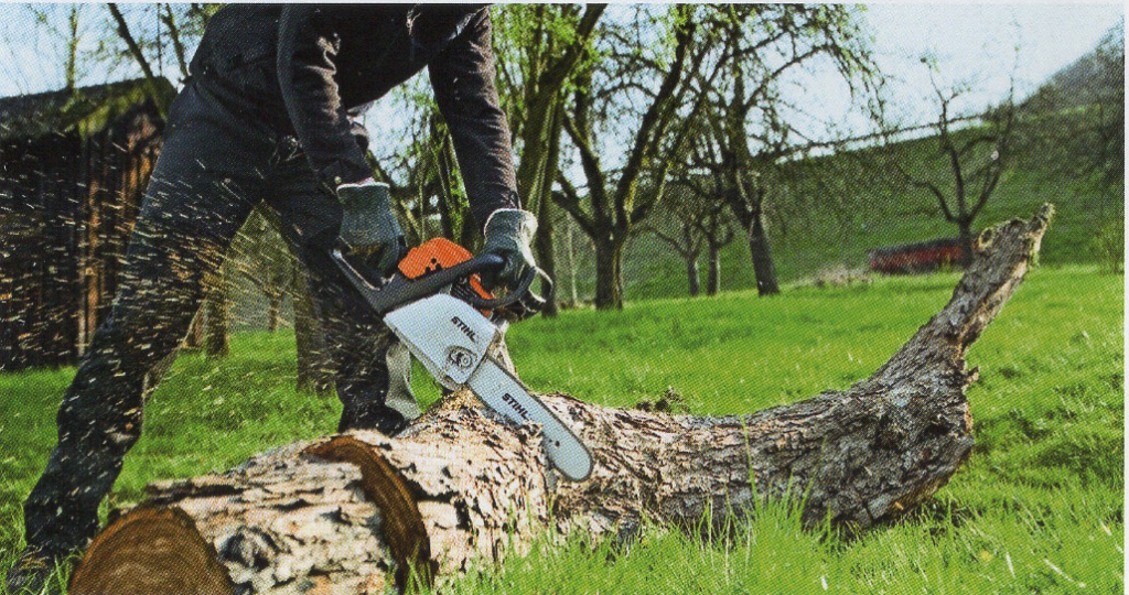 Tronçonneuse après abattage