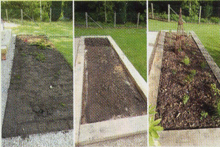 Engazonnement et plantations