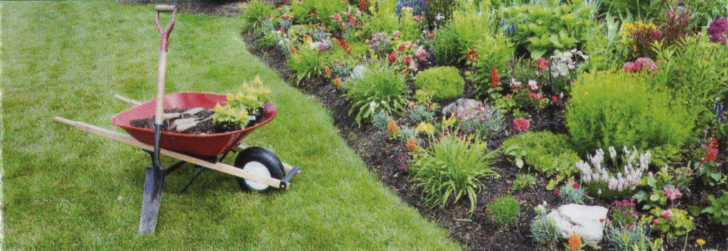 Création espaces verts