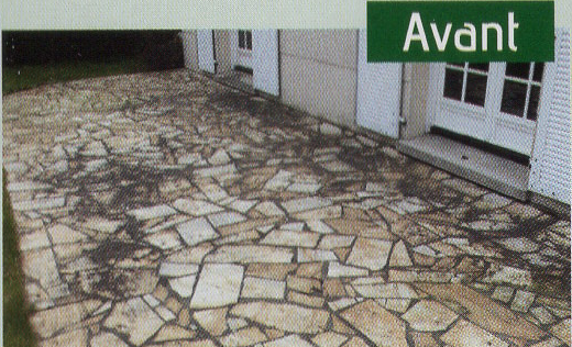 Entretien allée avant