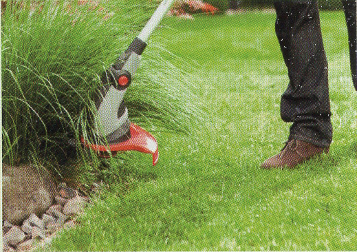 Tonte avec coupe bordures